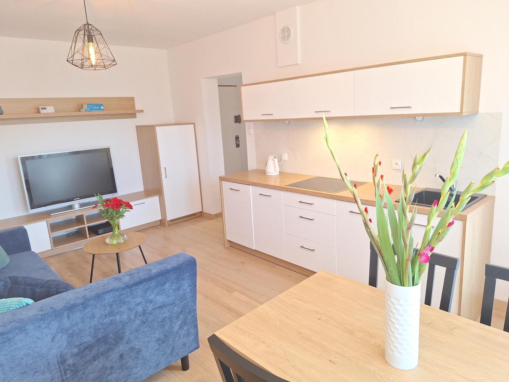 Apartment Grand - Prywatny Parking, Blisko Szpital Arkonska